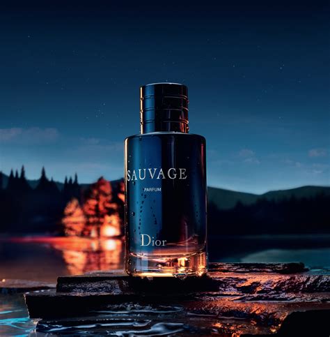 sauvage dior uomo parfum|christian dior sauvage for men.